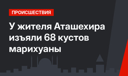 У жителя Аташехира изъяли 68 кустов марихуаны