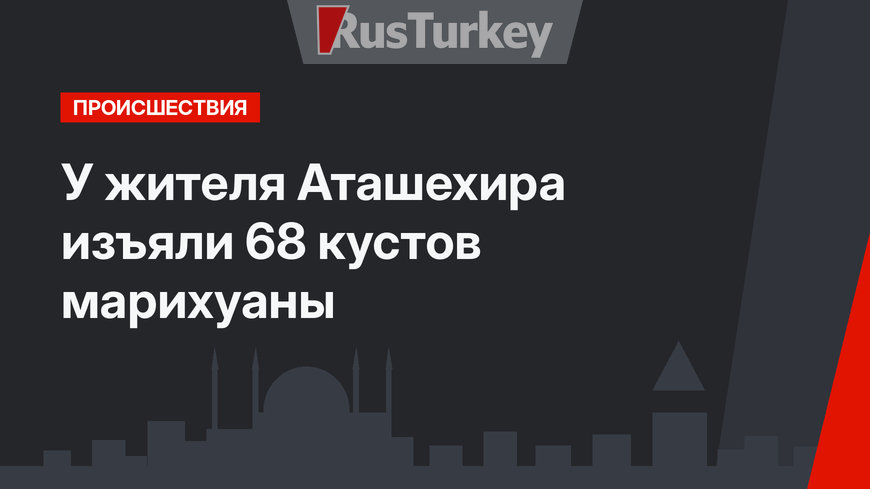 У жителя Аташехира изъяли 68 кустов марихуаны