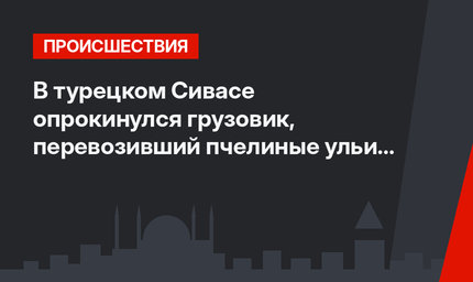 В турецком Сивасе опрокинулся грузовик, перевозивший пчелиные ульи (видео)