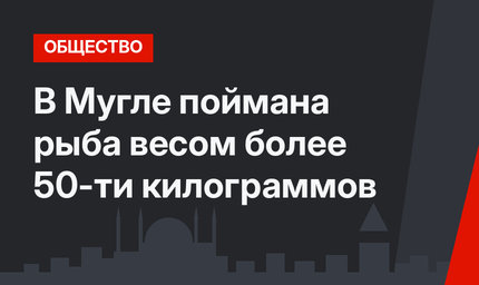 В Мугле поймана рыба весом более 50-ти килограммов