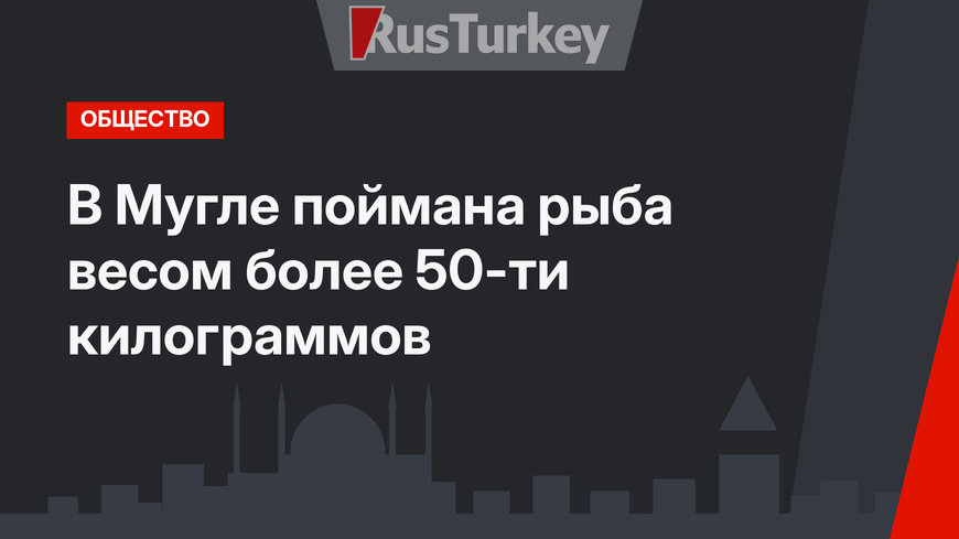 В Мугле поймана рыба весом более 50-ти килограммов