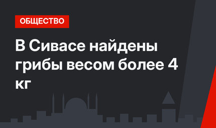 В Сивасе найдены грибы весом более 4 кг