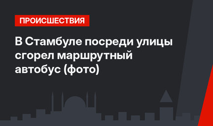 В Стамбуле посреди улицы сгорел маршрутный автобус (фото)