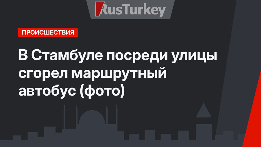 В Стамбуле посреди улицы сгорел маршрутный автобус (фото)