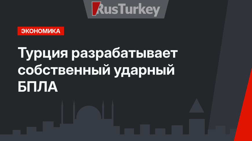 Турция разрабатывает собственный ударный БПЛА