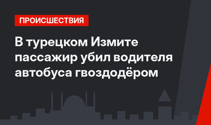 В турецком Измите пассажир убил водителя автобуса гвоздодёром