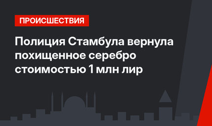 Полиция Стамбула вернула похищенное серебро стоимостью 1 млн лир
