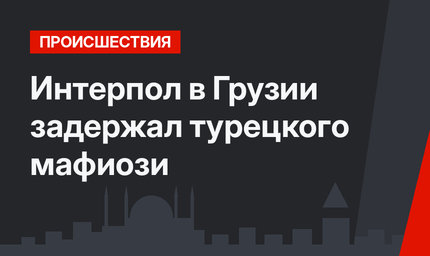 Интерпол в Грузии задержал турецкого мафиози