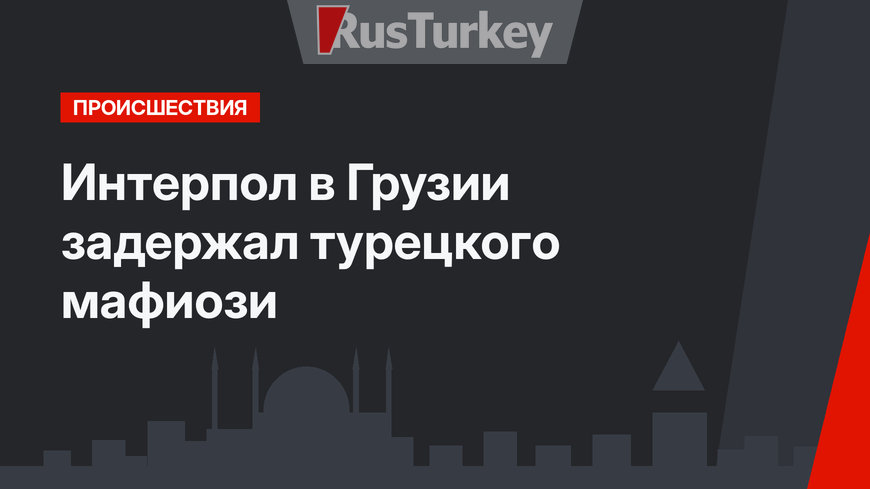 Интерпол в Грузии задержал турецкого мафиози