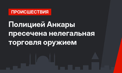 Полицией Анкары пресечена нелегальная торговля оружием