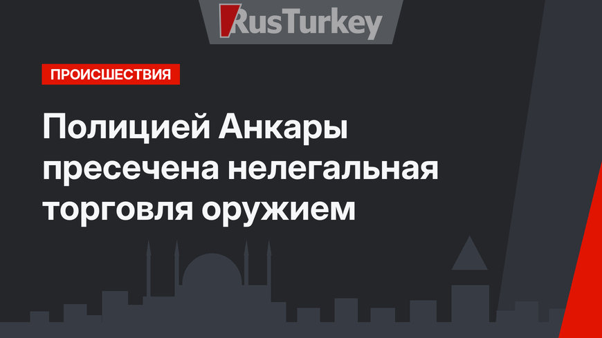 Полицией Анкары пресечена нелегальная торговля оружием