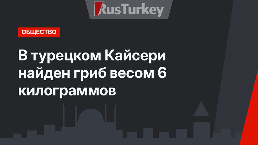 В турецком Кайсери найден гриб весом 6 килограммов