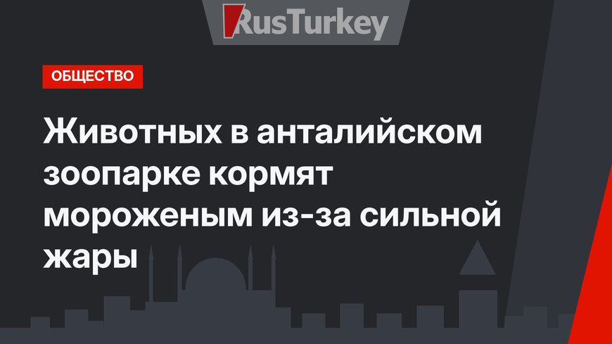 Животных в анталийском зоопарке кормят мороженым из-за сильной жары
