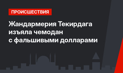 Жандармерия Текирдага изъяла чемодан с фальшивыми долларами