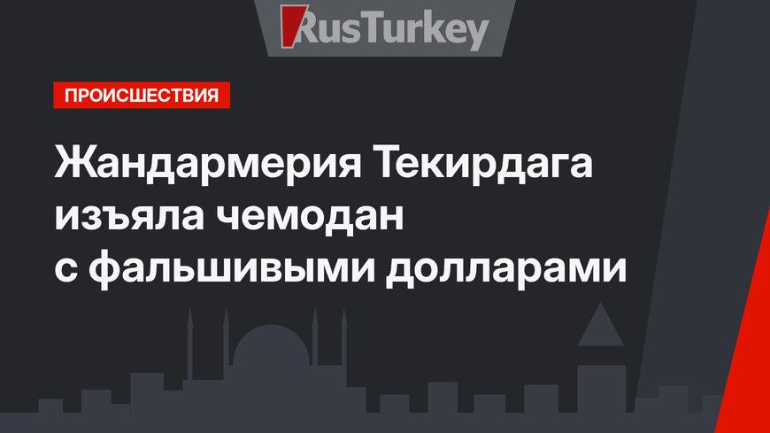 Жандармерия Текирдага изъяла чемодан с фальшивыми долларами