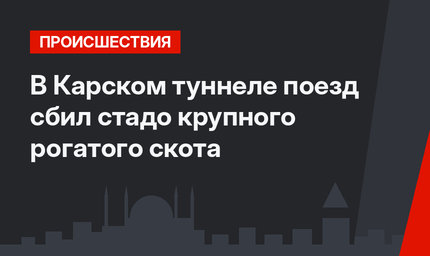 В Карском туннеле  поезд сбил  стадо крупного рогатого скота