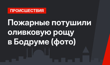 Пожарные потушили оливковую рощу в Бодруме (фото)
