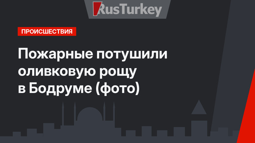 Пожарные потушили оливковую рощу в Бодруме (фото)