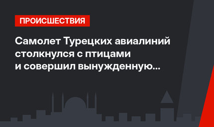 Самолет Турецких авиалиний столкнулся с птицами и совершил вынужденную посадку