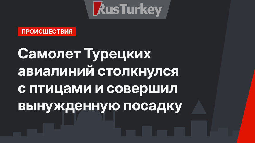 Самолет Турецких авиалиний столкнулся с птицами и совершил вынужденную посадку