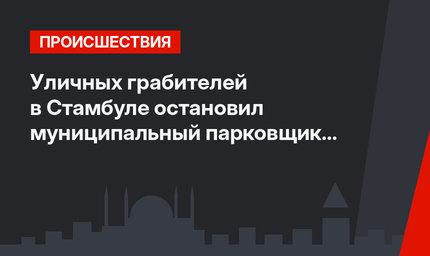 Уличных грабителей в Стамбуле остановил муниципальный парковщик (видео)