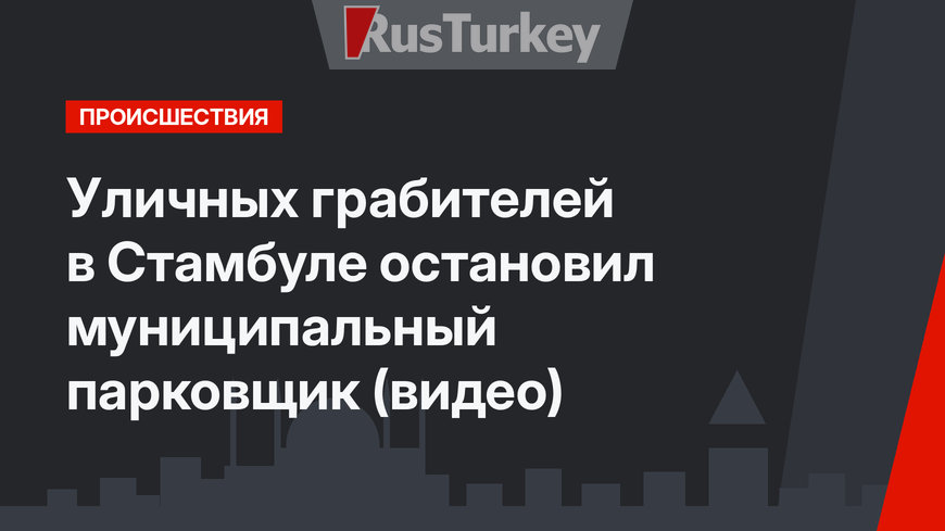 Уличных грабителей в Стамбуле остановил муниципальный парковщик (видео)