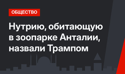Нутрию, обитающую в зоопарке Анталии, назвали Трампом