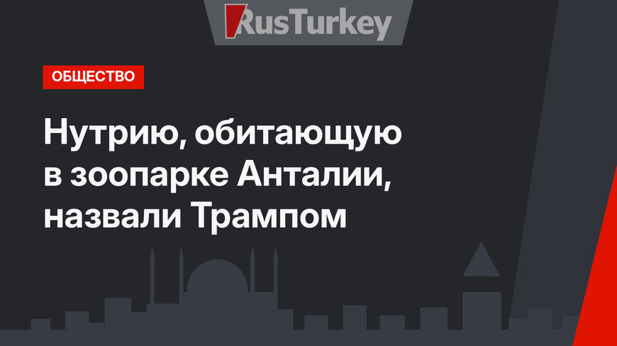Нутрию, обитающую в зоопарке Анталии, назвали Трампом