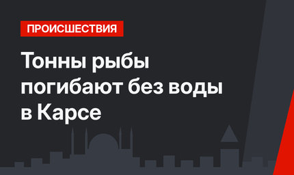 Тонны рыбы погибают без воды в Карсе