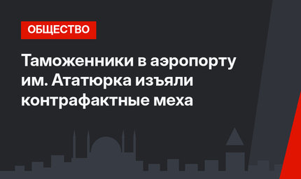 Таможенники в аэропорту им. Ататюрка изъяли контрафактные меха