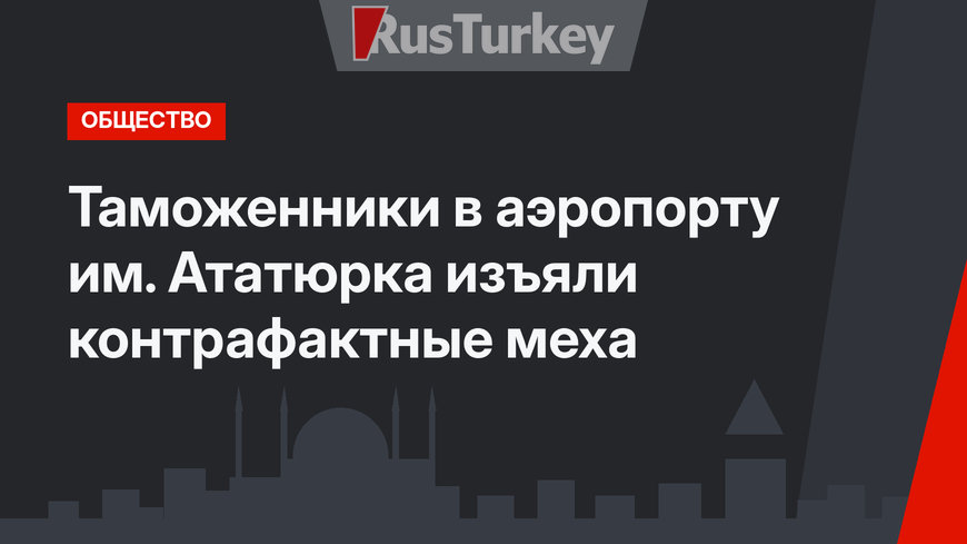 Таможенники в аэропорту им. Ататюрка изъяли контрафактные меха