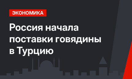 Россия начала поставки говядины в Турцию