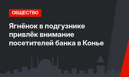 Ягнёнок в подгузнике привлёк внимание посетителей банка в Конье