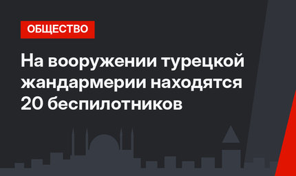 На вооружении турецкой жандармерии находятся 20 беспилотников