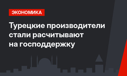 Турецкие производители стали расчитывают на господдержку