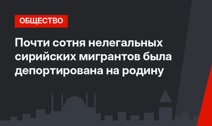 Почти сотня нелегальных сирийских мигрантов была депортирована на родину