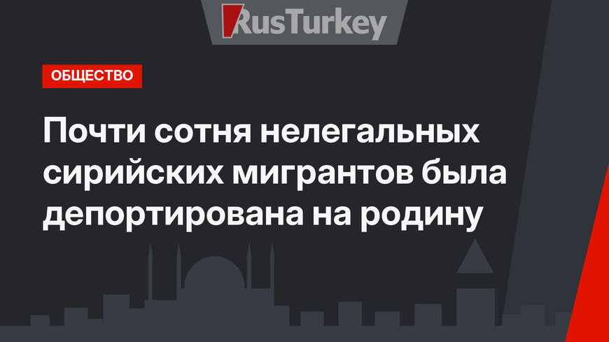 Почти сотня нелегальных сирийских мигрантов была депортирована на родину