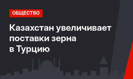 Казахстан увеличивает поставки зерна в Турцию