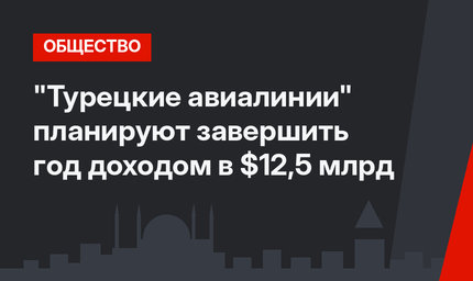 "Турецкие авиалинии"  планируют завершить год доходом в $12,5 млрд