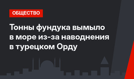 Тонны фундука вымыло в море из-за наводнения в турецком Орду
