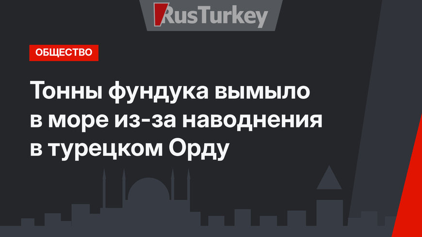 Тонны фундука вымыло в море из-за наводнения в турецком Орду