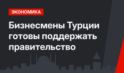 Бизнесмены Турции готовы поддержать правительство