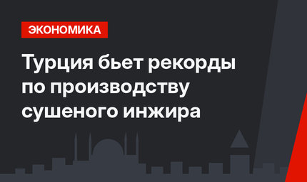 Турция бьет рекорды по производству сушеного инжира