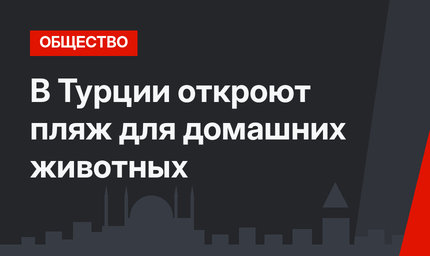 В Турции откроют пляж для домашних животных