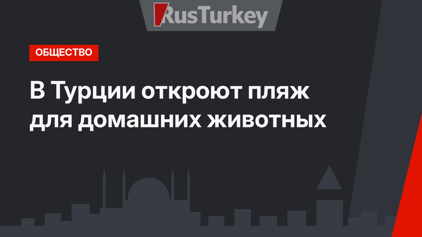 В Турции откроют пляж для домашних животных