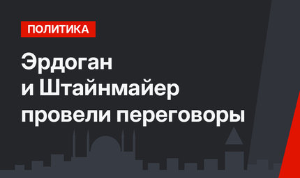 Эрдоган и Штайнмайер провели переговоры