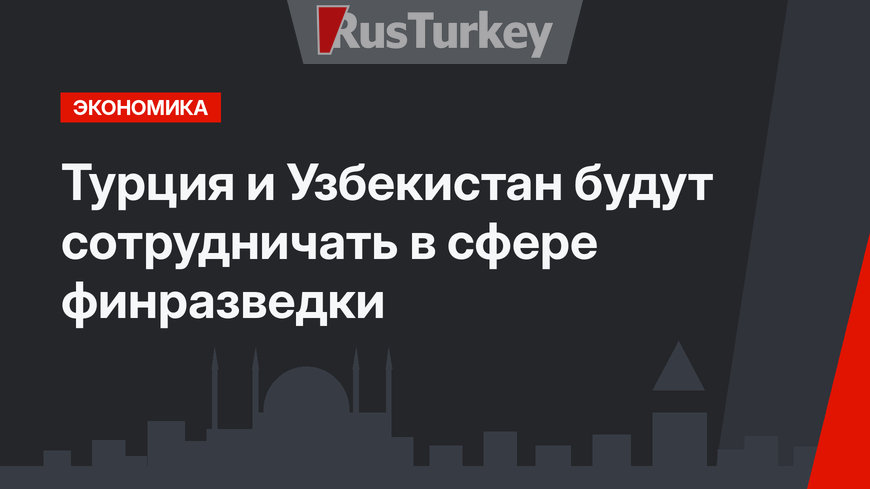 Турция и Узбекистан будут сотрудничать в сфере финразведки