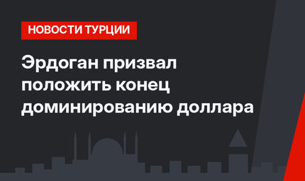 Эрдоган призвал положить конец доминированию доллара