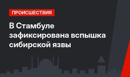В Стамбуле зафиксирована вспышка сибирской язвы