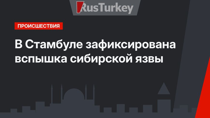 В Стамбуле зафиксирована вспышка сибирской язвы